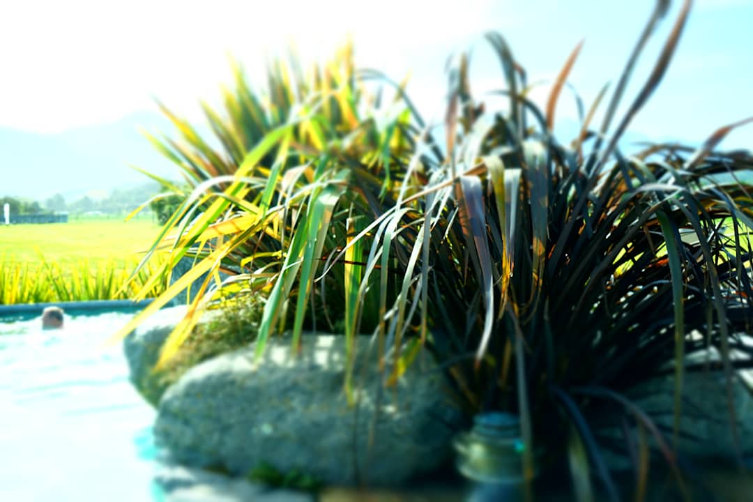 Sonstiges Hapuku Lodge & Tree Houses