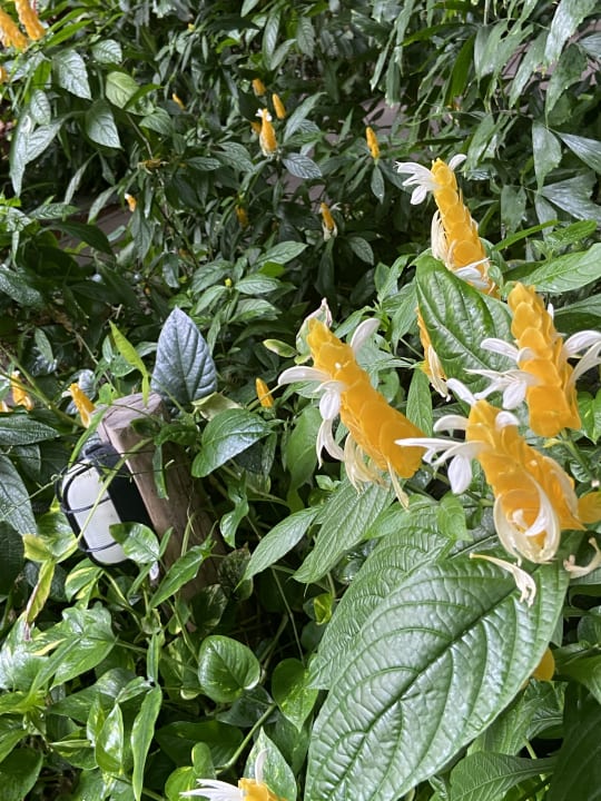 Sonstiges Tropical Islands Resort