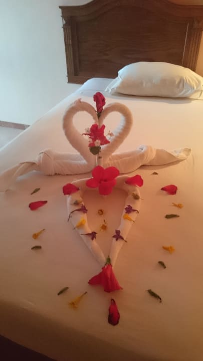 Danke Ahmed! Shams Alam Beach Resort