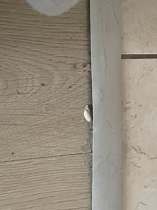 Zimmer Miarosa Kemer Beach