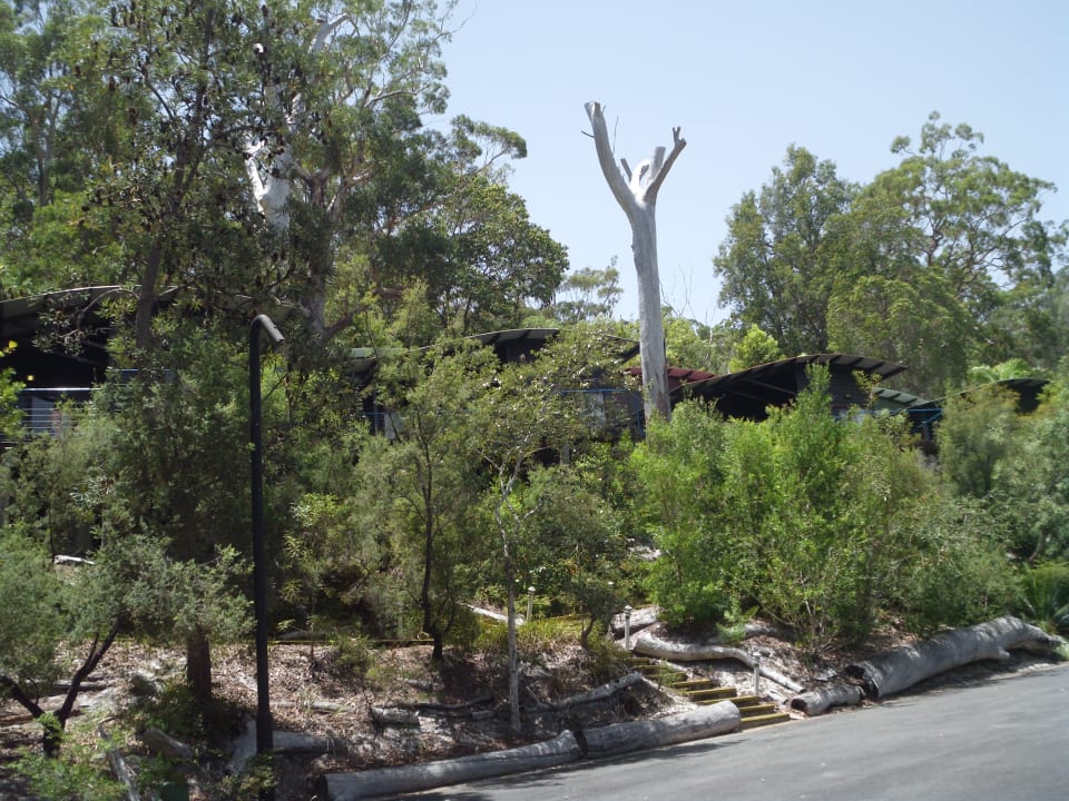 Außenansicht Kingfisher Bay Resort