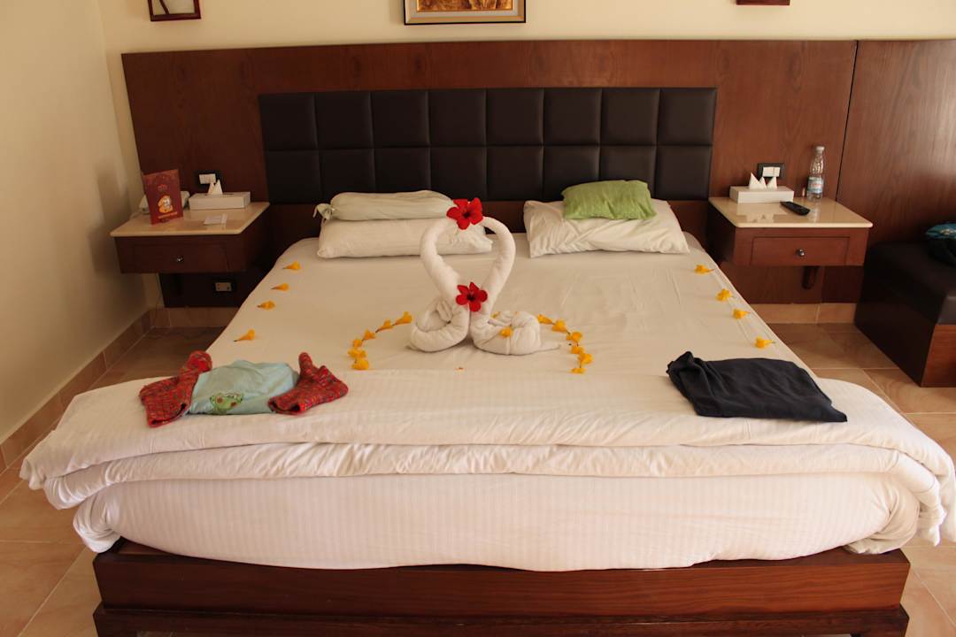 Gegen ein kleines Trinkgeld  Pickalbatros Alf Leila Wa Leila Resort - Neverland Hurghada