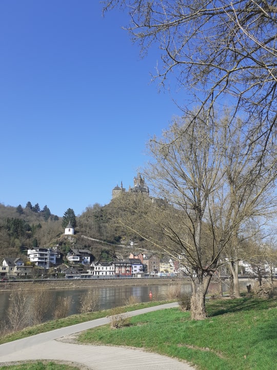 Ausblick Moselstern Hotel Brixiade & Triton