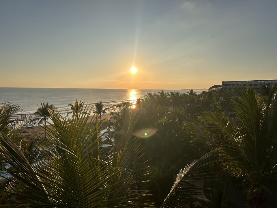 Ausblick Potato Head Suites & Studios