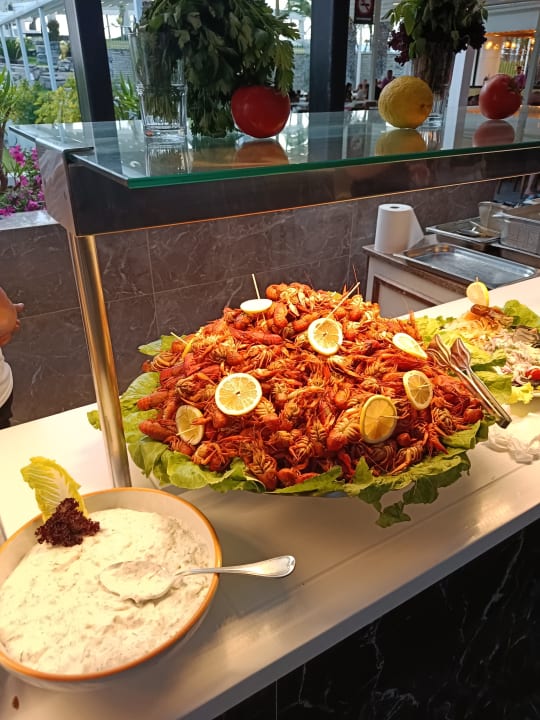 Gastro Monachus Family Resort Sorgun