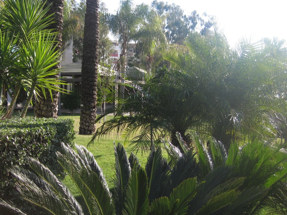 Sunis Hotel Kumköy Beach Resort & Spa Sunis Kumköy Beach Resort Hotel & Spa