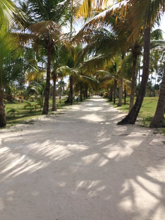 Weg zum Strand  Villas Bavaro Resort & Spa