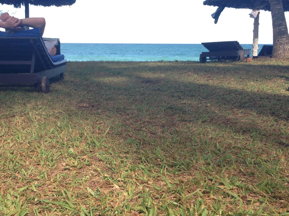 Blick von der Liege aus Hotel Diani Sea Lodge