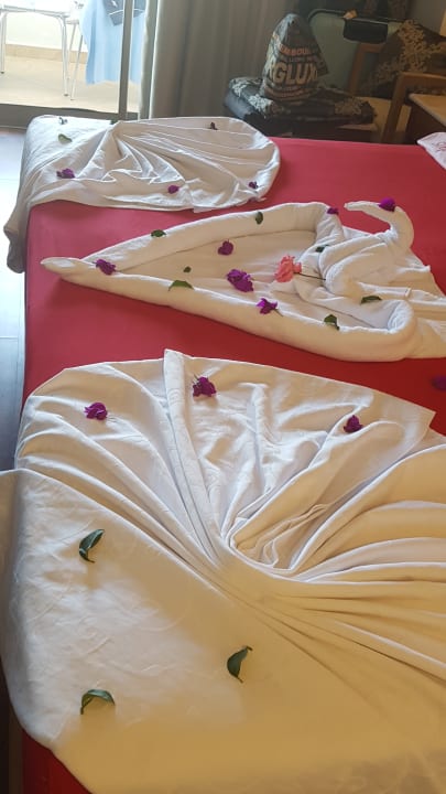 Zimmer Alba Queen Hotel