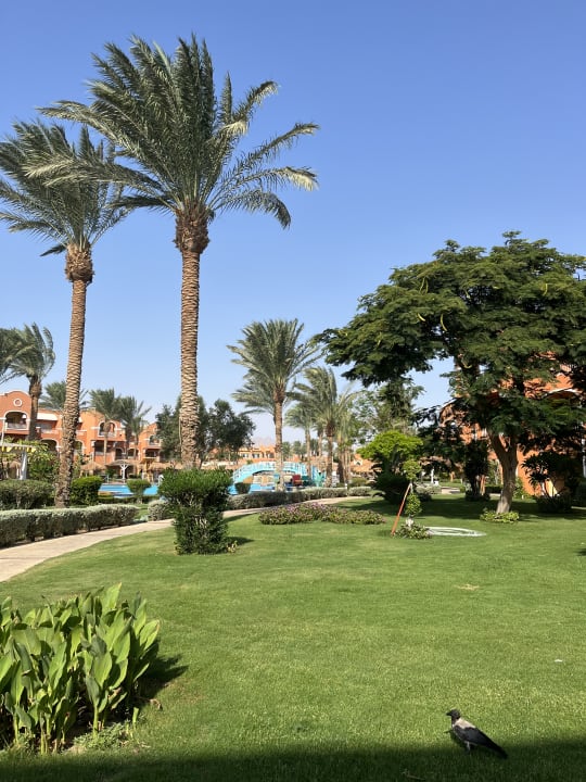 Gartenanlage Sentido Caribbean World Soma Bay