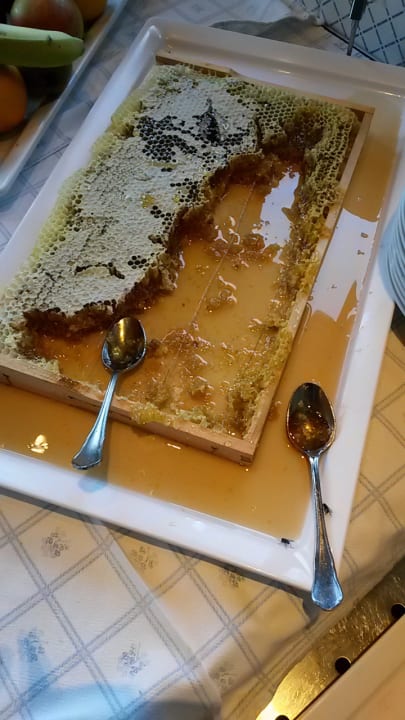 Restaurant Gut Berg Naturhotel