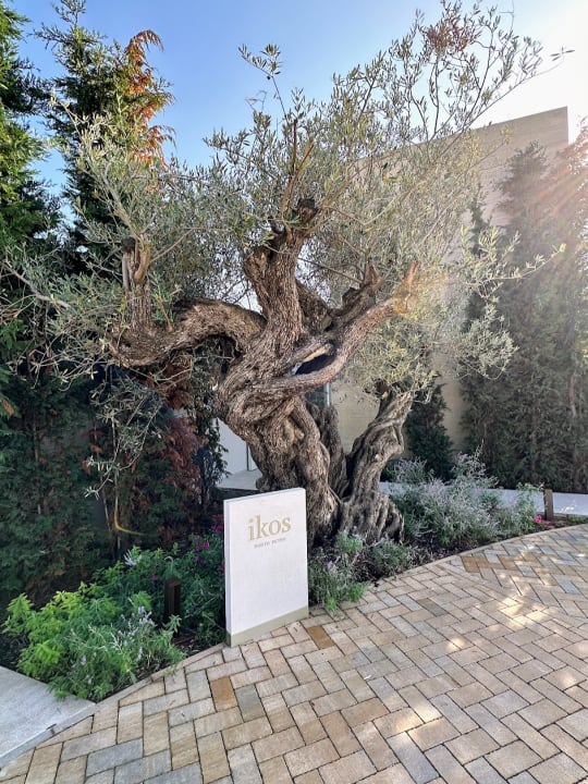 Sonstiges Ikos Porto Petro