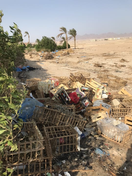 Außenansicht Shams Prestige Abu Soma-Adults Only