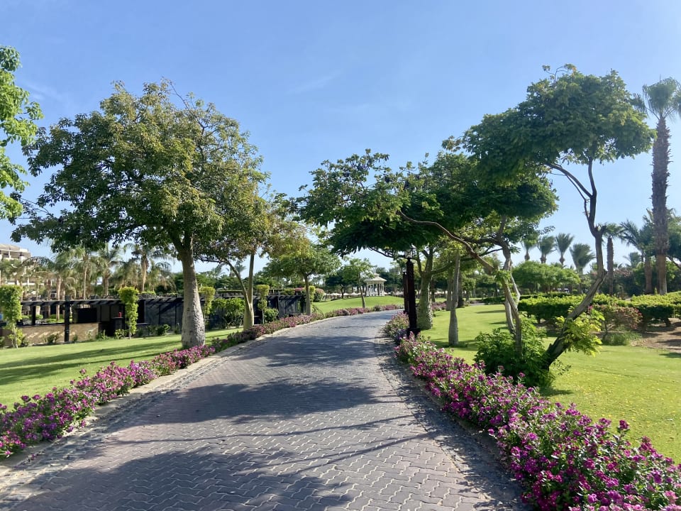 Gartenanlage Steigenberger Aqua Magic