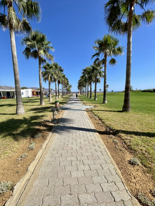 Gartenanlage Delfina Tropic Beach