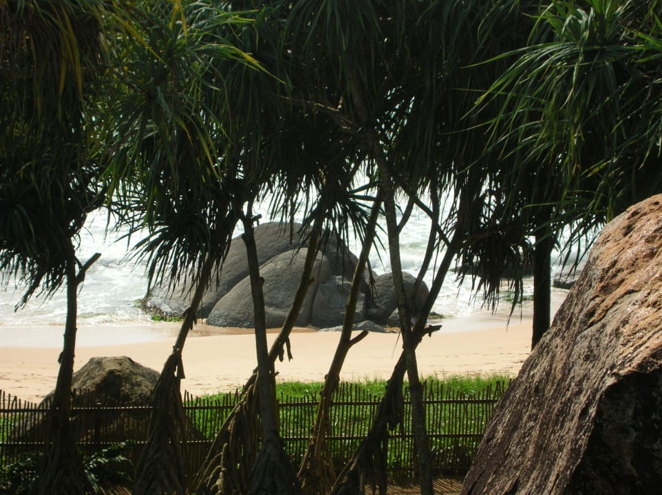 Blick vom Garten auf den Strand Hotel Sri Lanka Ayurveda Garden & Shakti Villa