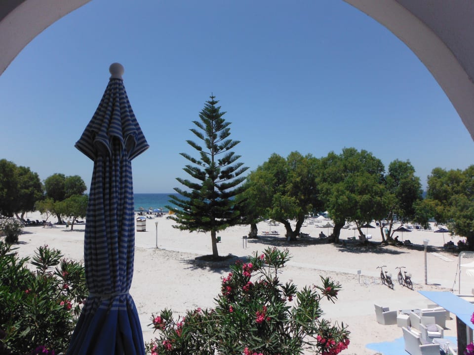 Vom Balkon Diana Studios