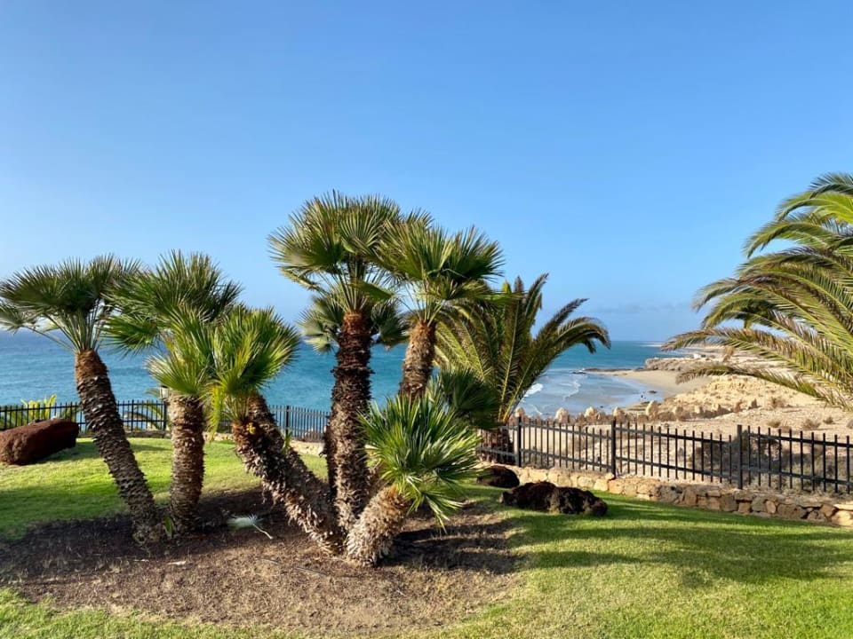 Gartenanlage R2 Pajara Beach