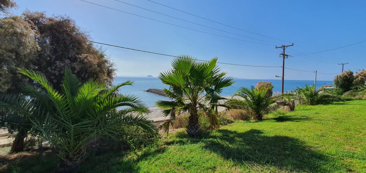 Gartenanlage Grand Blue Beach Hotel