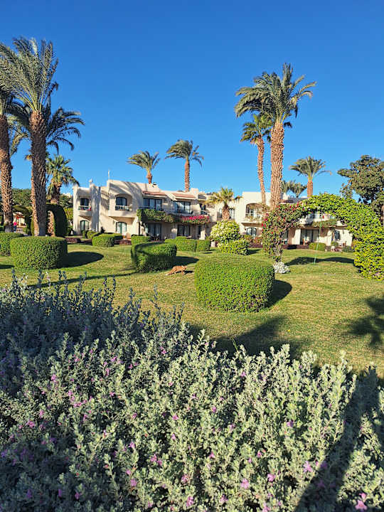 Gartenanlage Lotus Bay Beach Resort