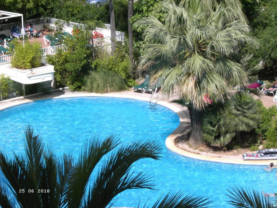 Ausblick vom Balkon auf den Pool Protur Palmeras Playa Aparthotel