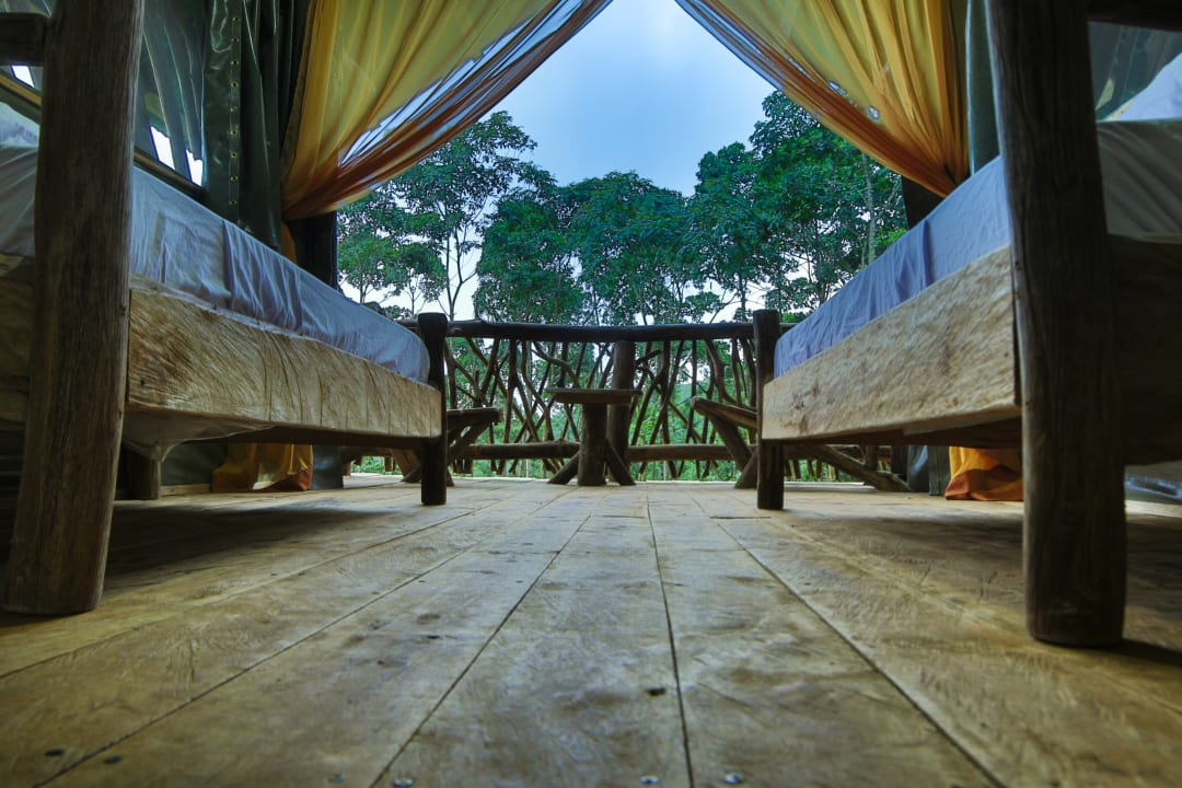 Zimmer La Tigra Rainforest Lodge