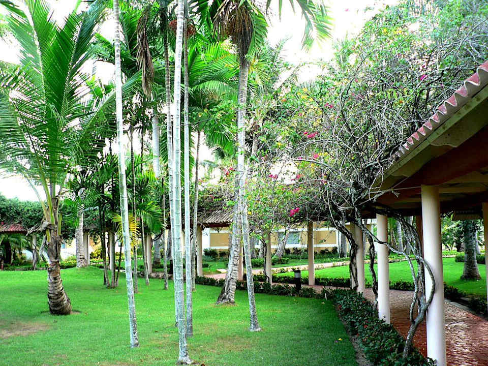 Dank überdachter Wege... Grand Palladium Select Bávaro Resort & Spa