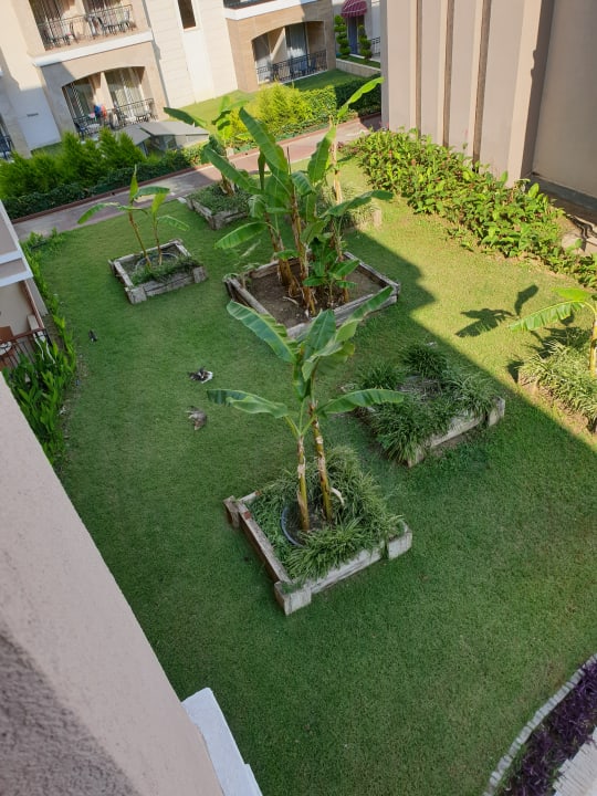Gartenanlage Hotel Turan Prince