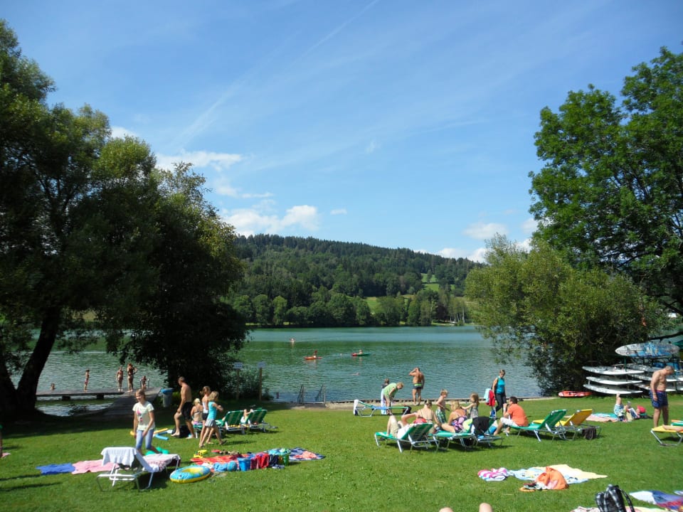 Blick zum See Feriendorf am Maltschacher See