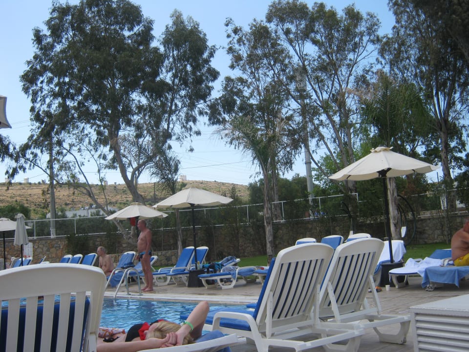 Pool mit Einsicht Bodrum Beach Resort