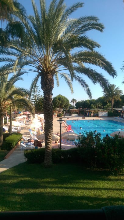 Actionpool Club Turtas Beach Hotel