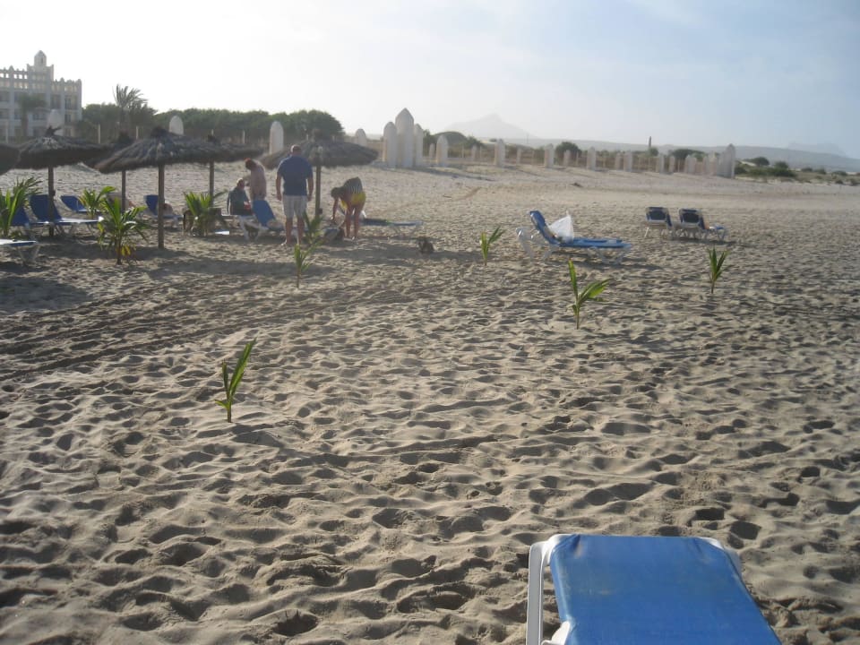Strand Hunde Hotel Riu Karamboa