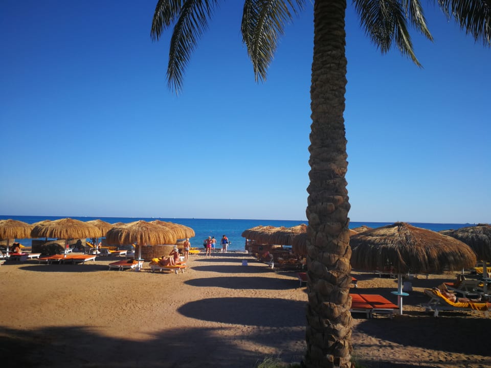 Strand Sentido Caribbean World Soma Bay