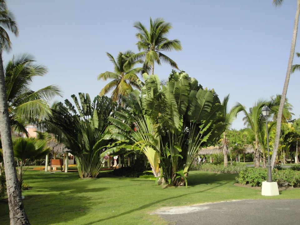 Alles sehr gepflegt TRS Turquesa Hotel - Adults only