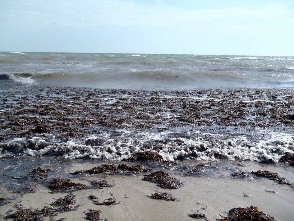 Früh morgens vor der Strandsäuberung Zita Beach Resort