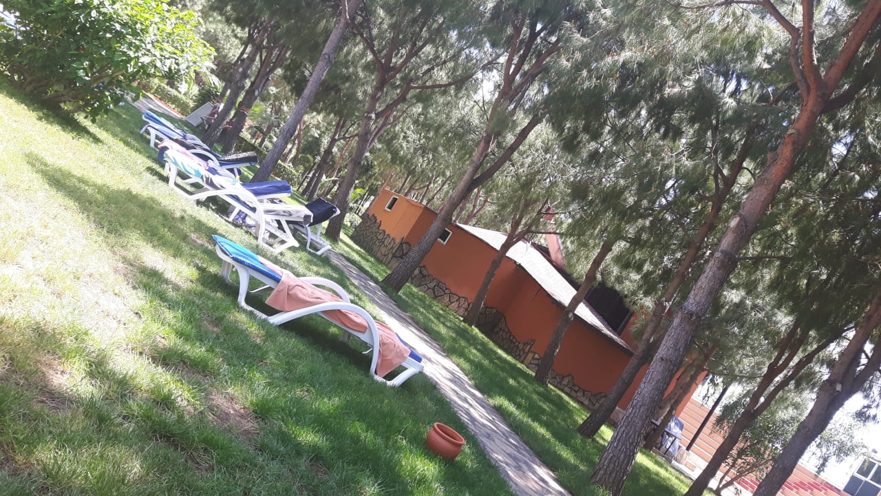 Gartenanlage Club Turtas Beach Hotel