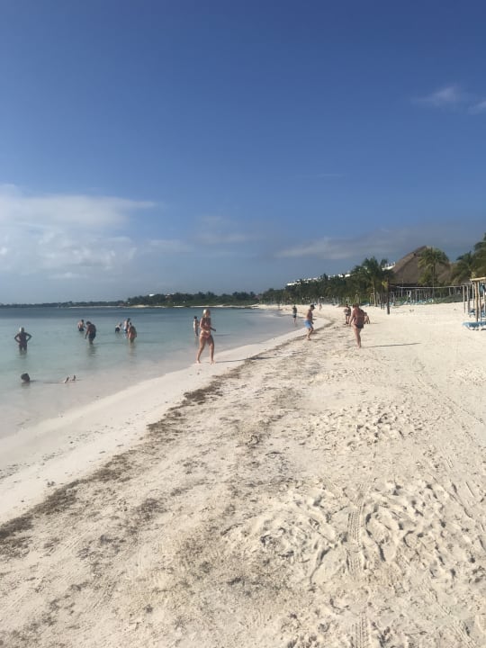Strand Akumal Bay Beach & Wellness Resort