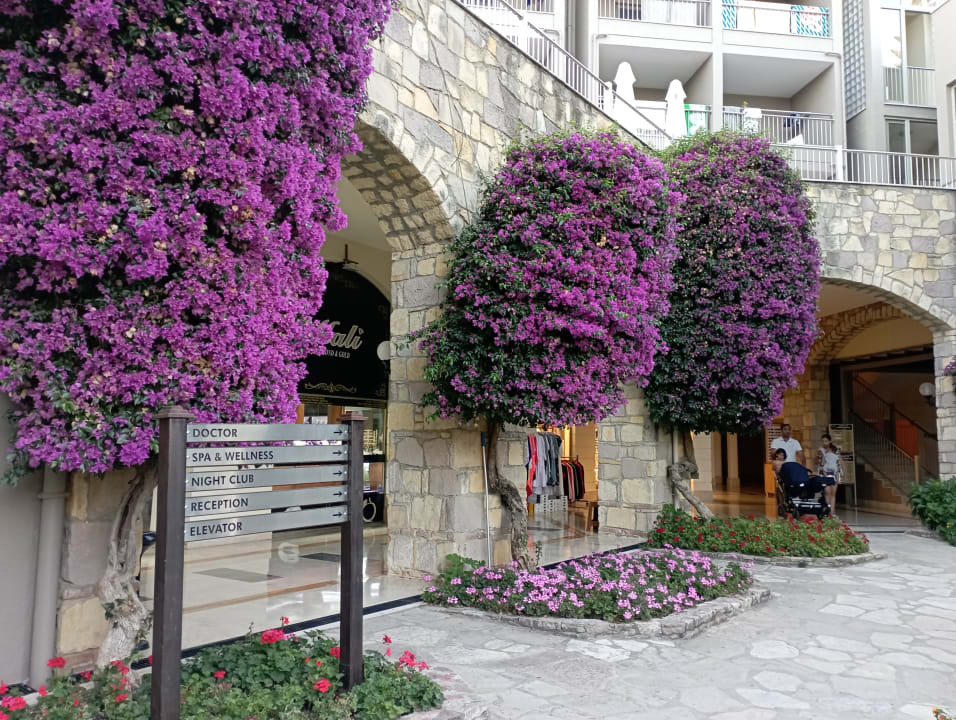 Gartenanlage Barut Hemera