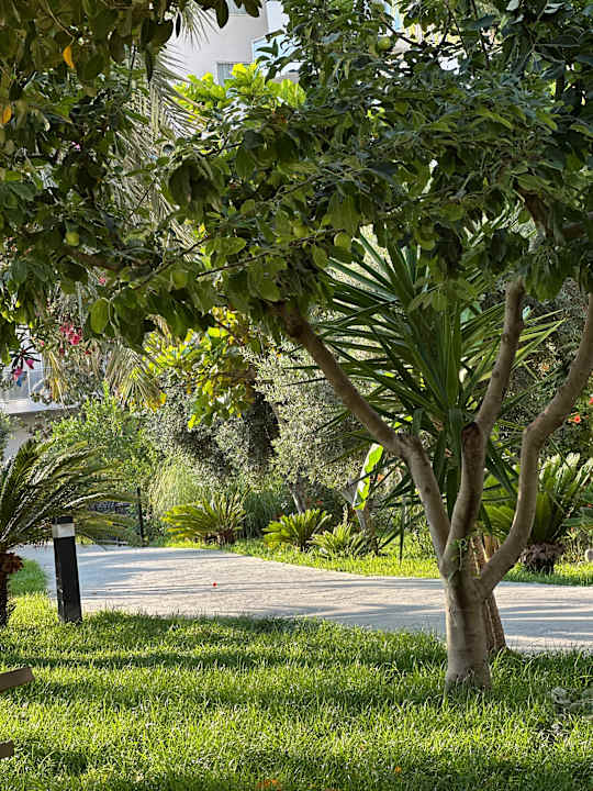 Gartenanlage Seaden Sea World Resort & Spa