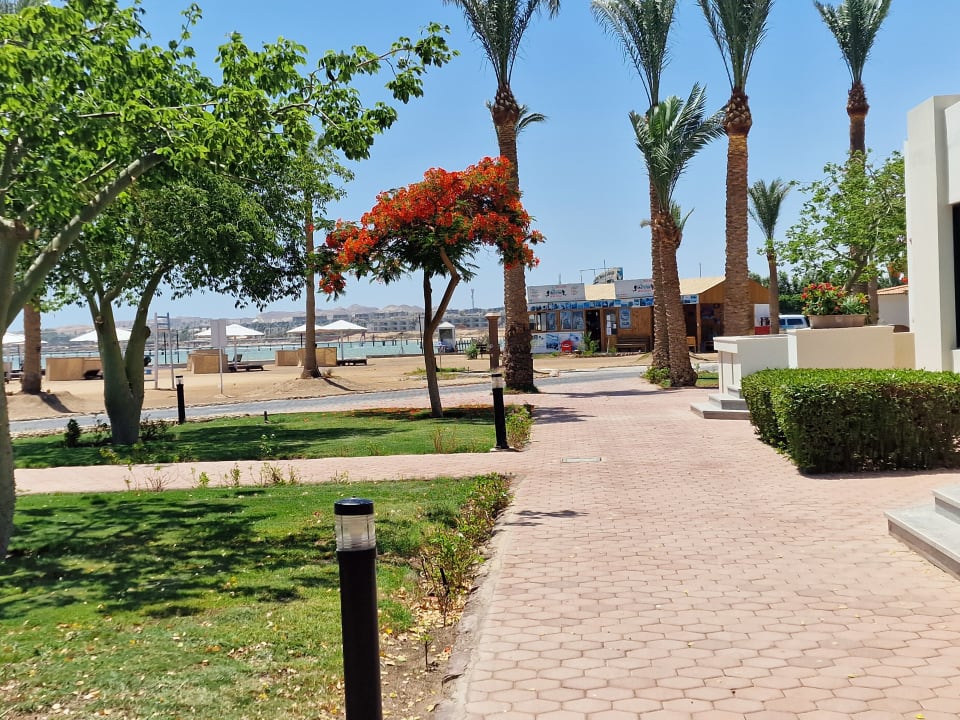 Gartenanlage Pharaoh Azur Resort