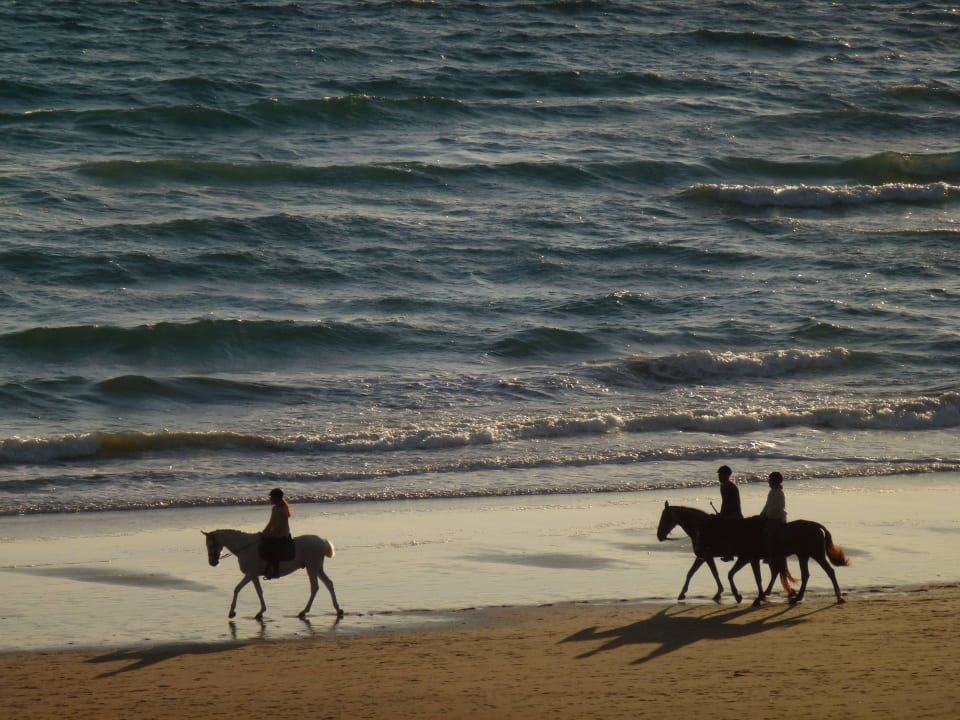Reiter in der Abendsonne Hotel Riu Chiclana