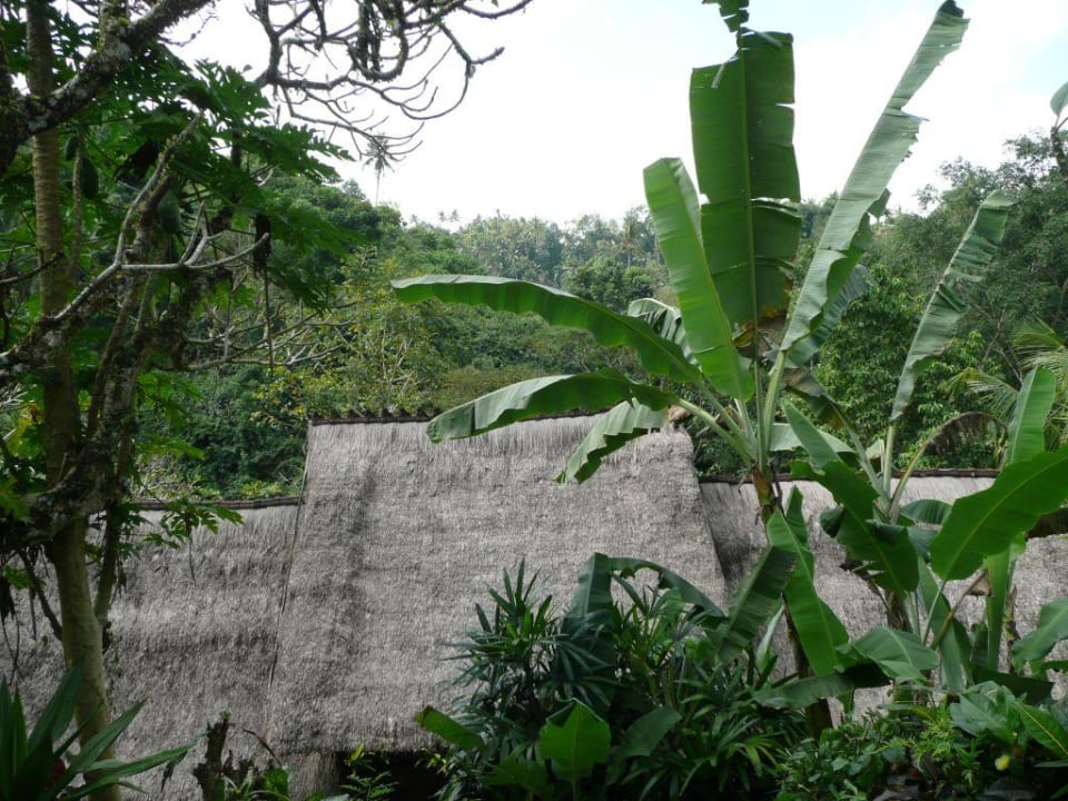 Häuser eingebetten im Dschungel Hotel Tjampuhan