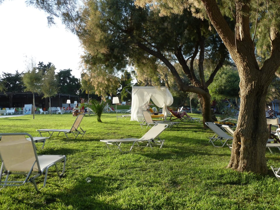 Liegewiese TUI BLUE Oceanis Beach and Spa Resort