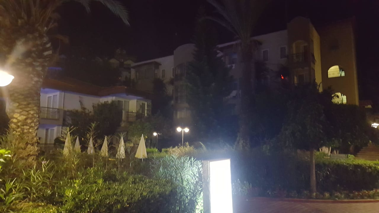 Vom Pool aus Hotel Gardenia Beach