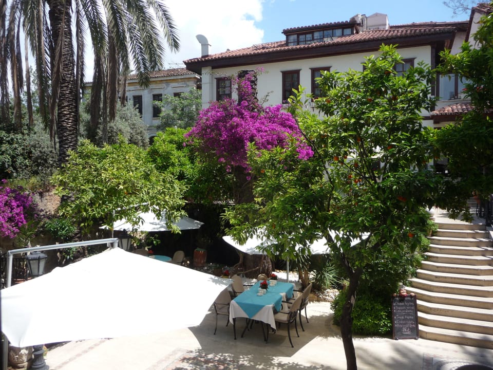 Im Garten... Dogan Hotel by Prana Hotels & Resorts