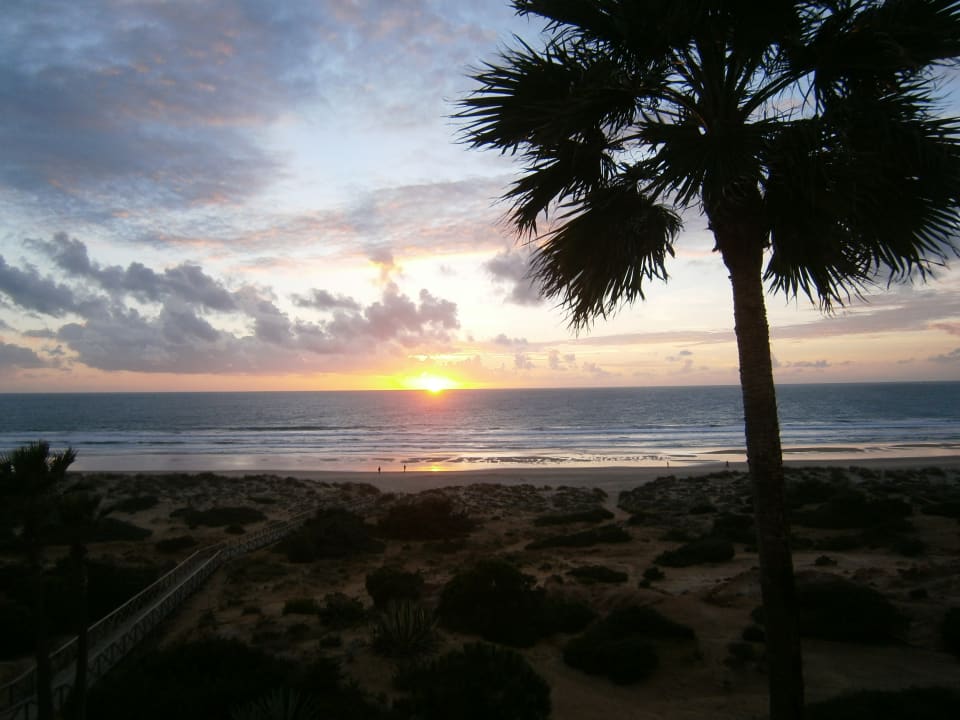 Ausblick Iberostar Waves Royal Andalus