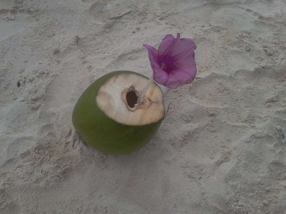 Kokosnuss! The Reef Playacar