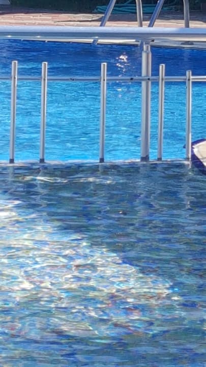 Pool Bieno Club Venüs Hotel &Spa