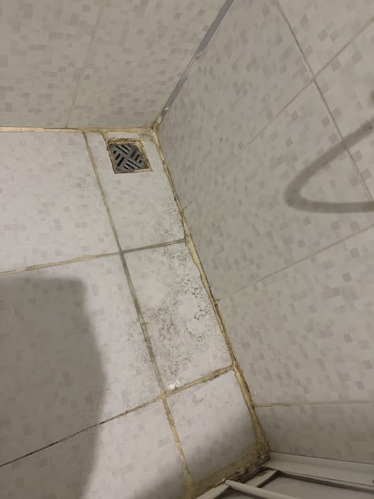 Zimmer Clover Magic Nova Beach