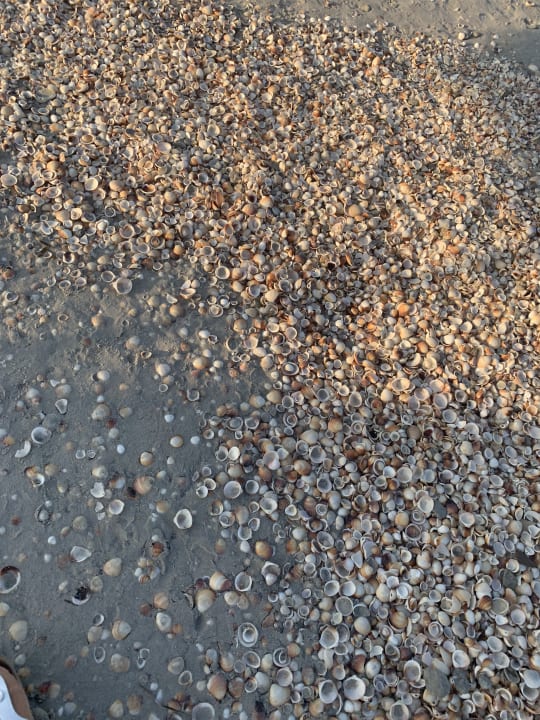 Strand Mahdia Beach & Aquapark